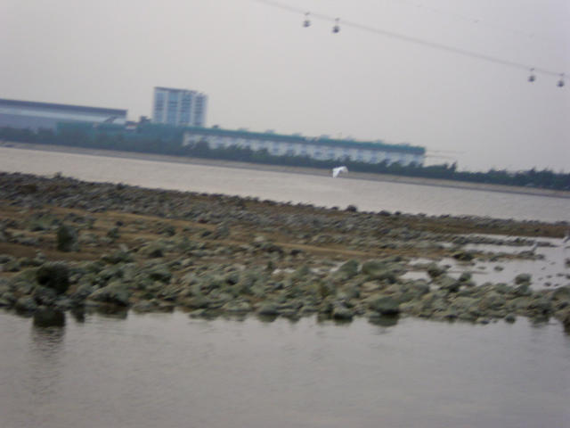 ˵